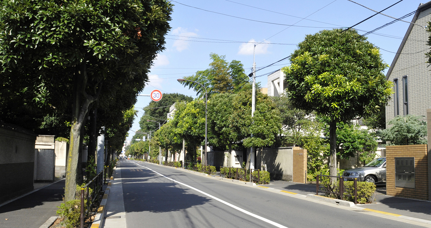 世田谷区成城5丁目の環境